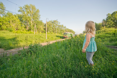 Similar image 736685