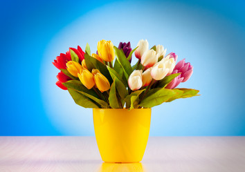 Similar image 736694