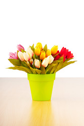 Similar image 736695