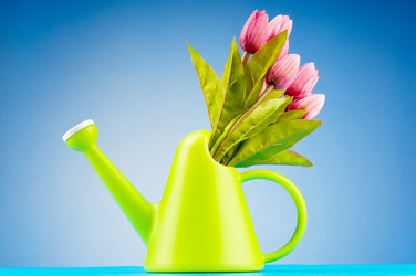 Similar image 736697