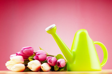 Similar image 736701