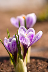 Similar image 736725