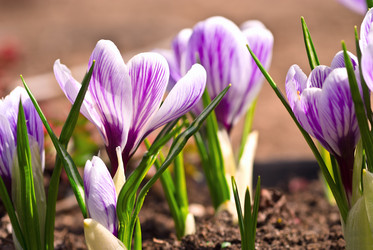 Similar image 736726