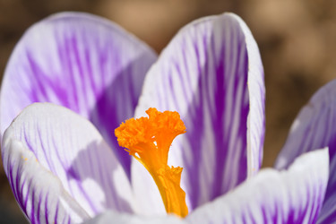 Similar image 736728