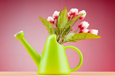 Similar image 736738