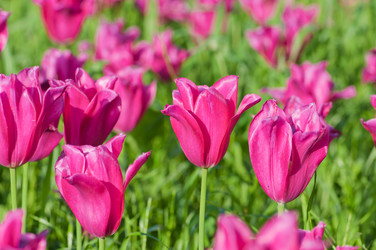 Similar image 736827