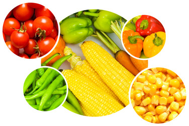 Similar image 736870