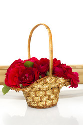 Similar image 736874