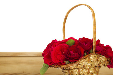 Similar image 736875