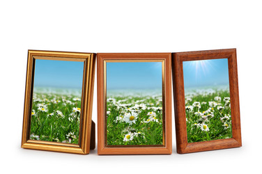 Similar image 736907