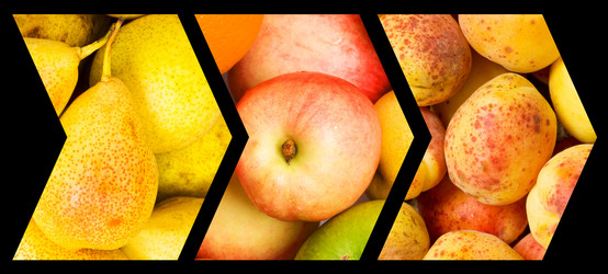 Similar image 736908