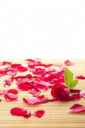 Similar image 736957