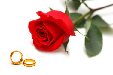 Similar image 736964