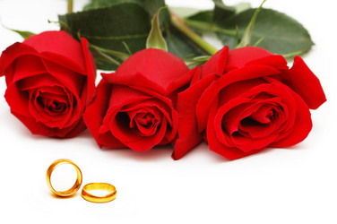 Similar image 736965