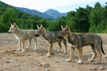 Similar image 737010