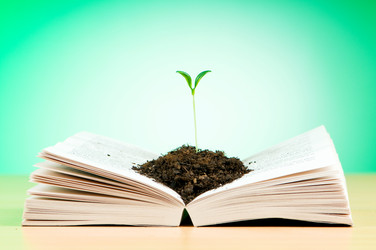 Similar image 737018