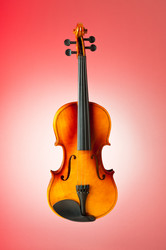 Similar image 737077