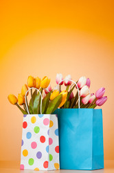 Similar image 737123