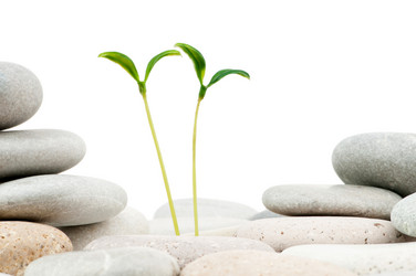 Similar image 737130