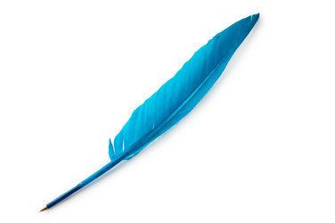 Similar image 737180