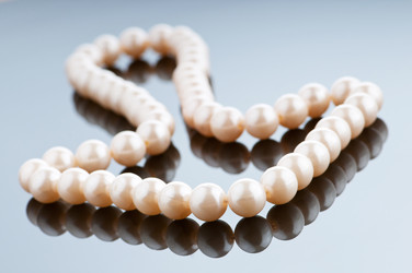 Similar image 737185