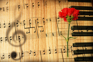 Similar image 737196