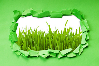 Similar image 737201