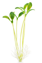 Similar image 737209