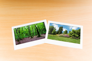 Similar image 737219