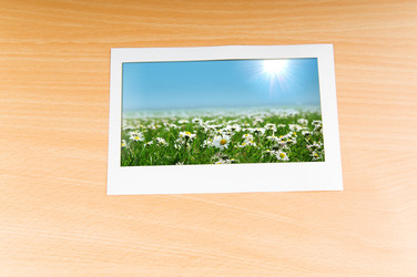 Similar image 737221