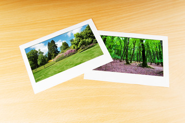 Similar image 737222