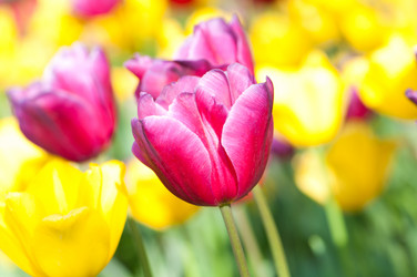 Similar image 737233