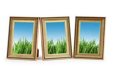 Similar image 737265