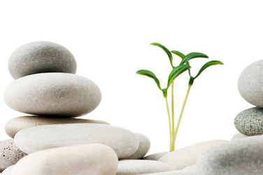 Similar image 737267