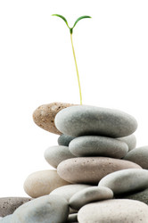 Similar image 737268