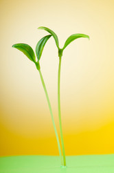 Similar image 737269