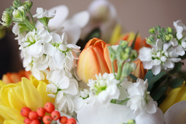 Similar image 737296