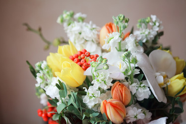 Similar image 737298