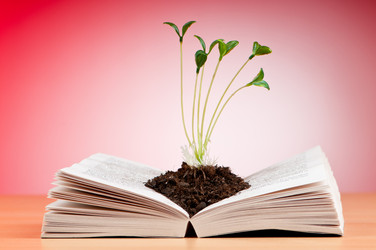 Similar image 737301