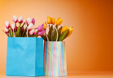 Similar image 737462