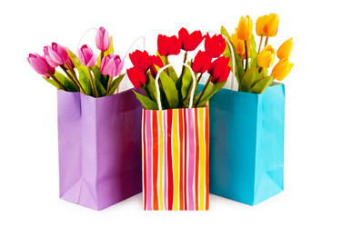 Similar image 737464