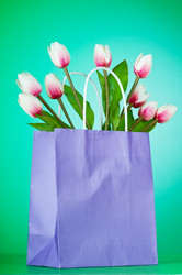 Similar image 737469