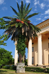 Similar image 737470