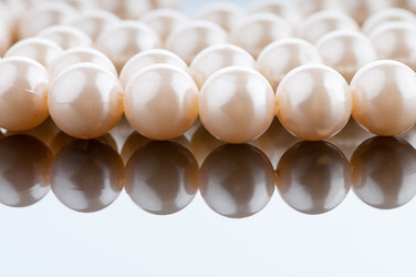 Similar image 737485