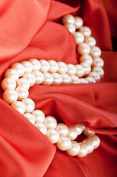 Similar image 737488