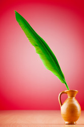 Similar image 737496