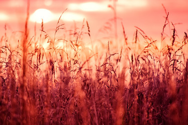 Similar image 737498