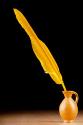 Similar image 737500