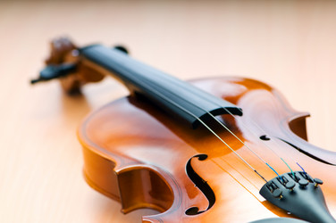 Similar image 737583