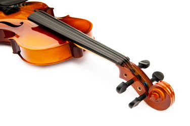 Similar image 737623